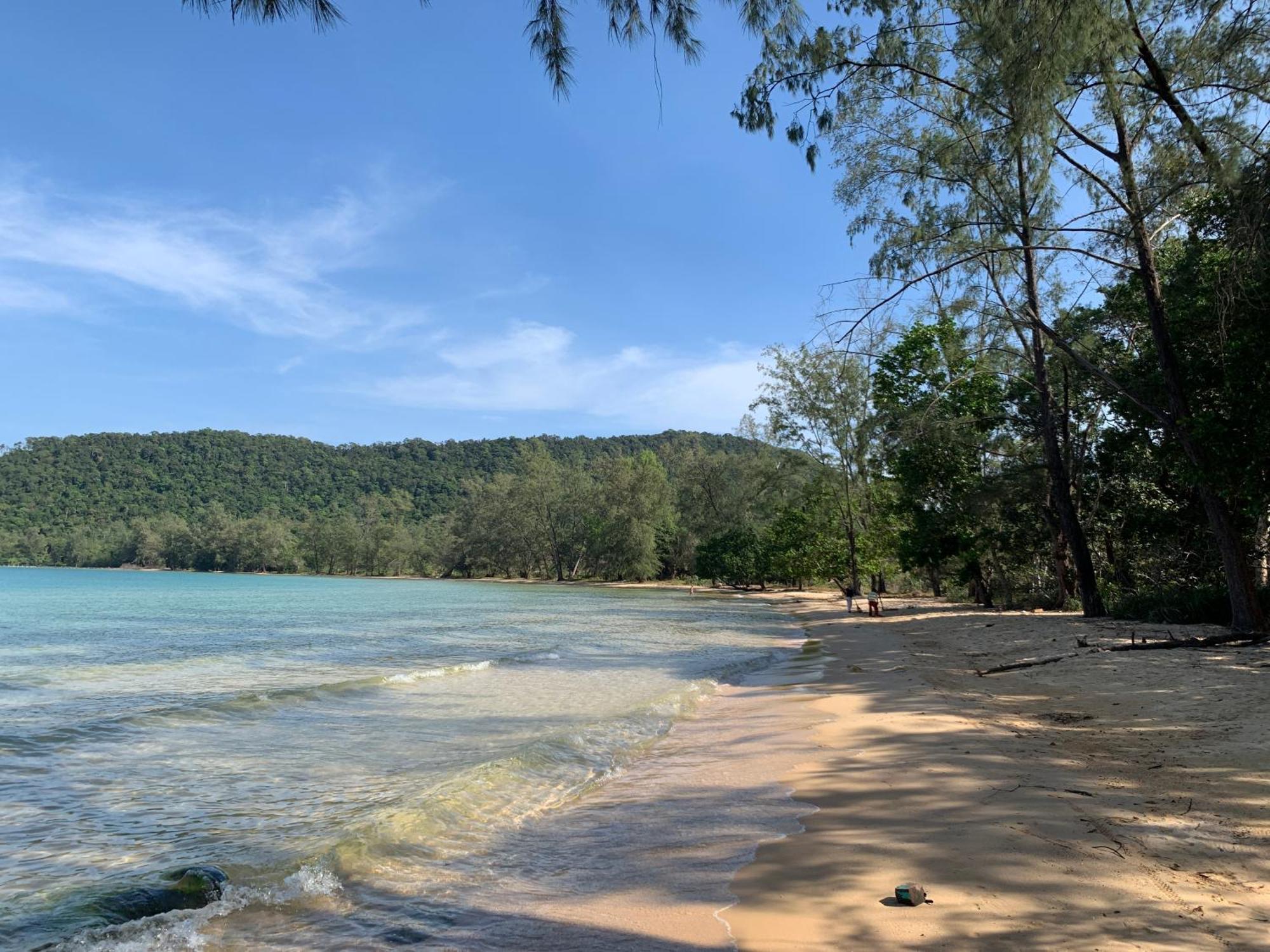 Easy Tiger - M'pai Bay Beach,