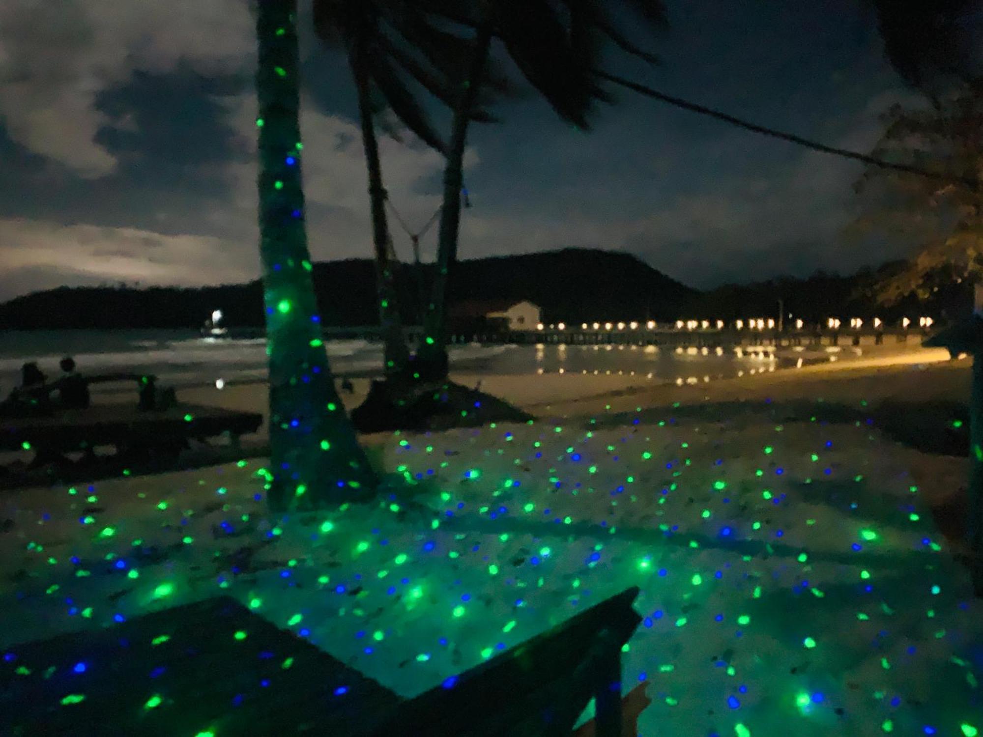 Easy Tiger - M'pai Bay Beach,
