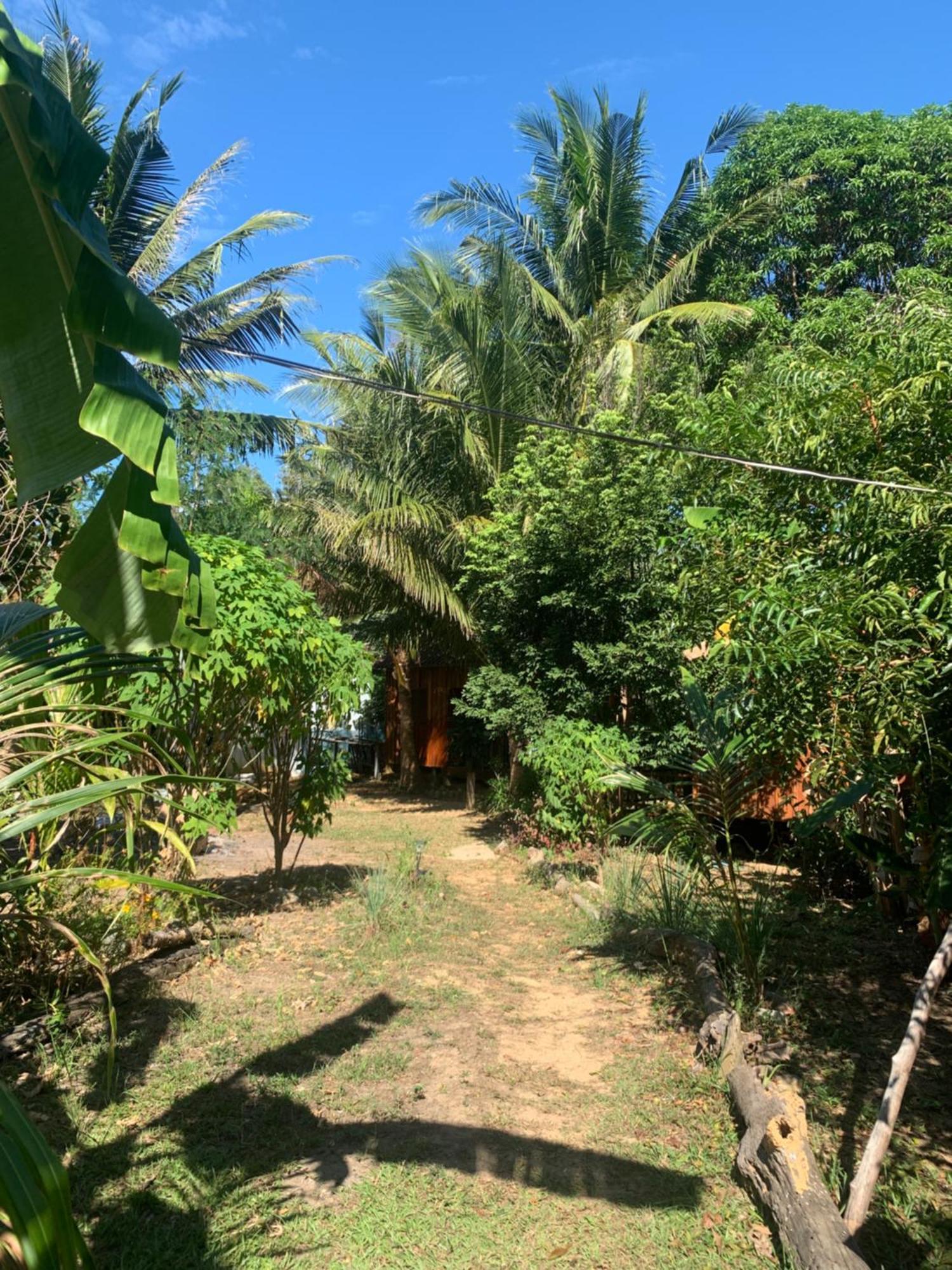Easy Tiger - M'pai Bay Beach, Resort Koh Rong Sanloem