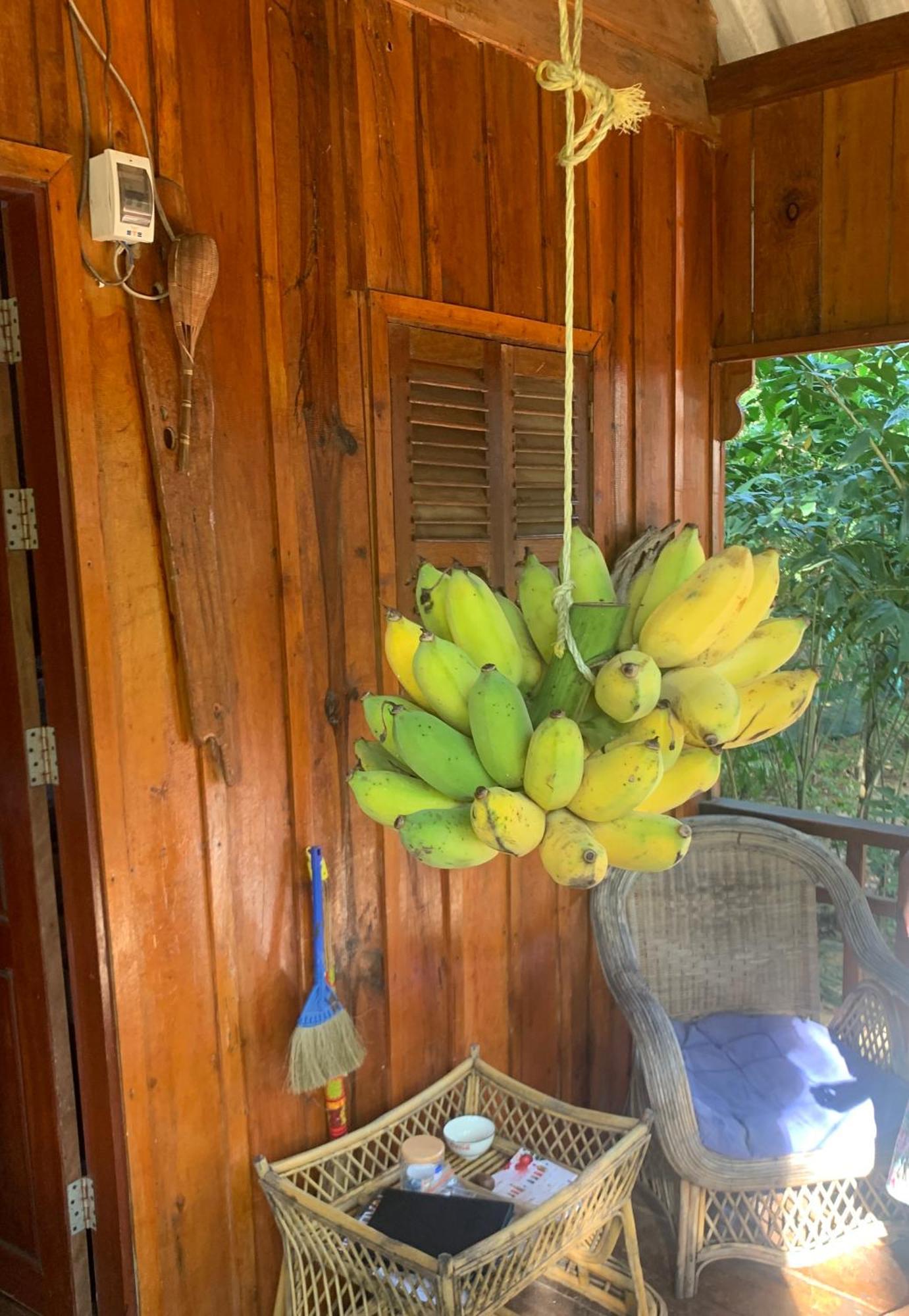 Easy Tiger - M'pai Bay Beach, Resort 3*